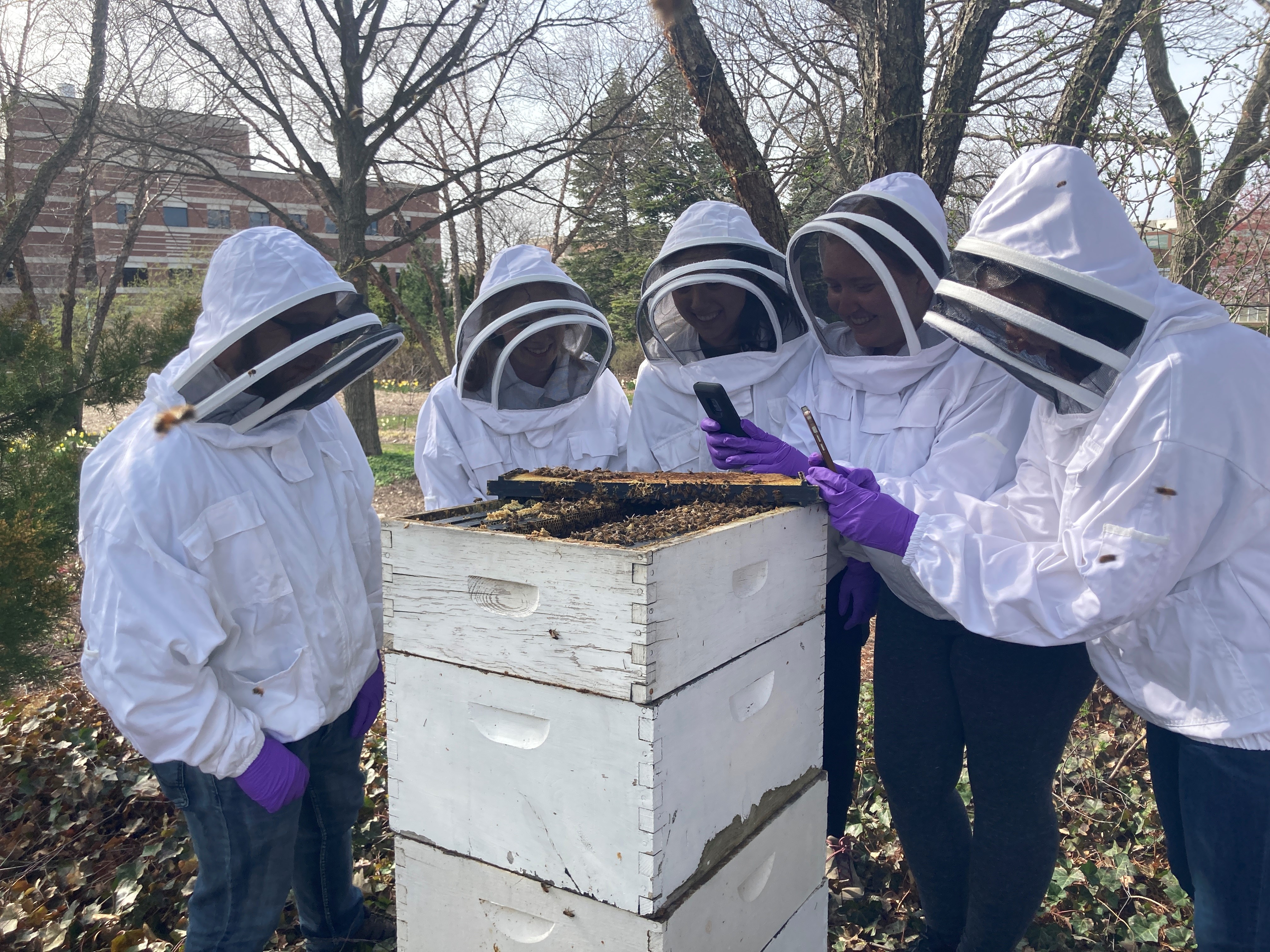 Photo of veterinary students inspecting frame from a honey bee hive